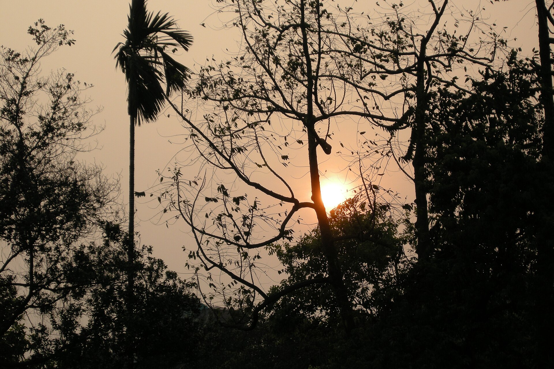 Hanoi