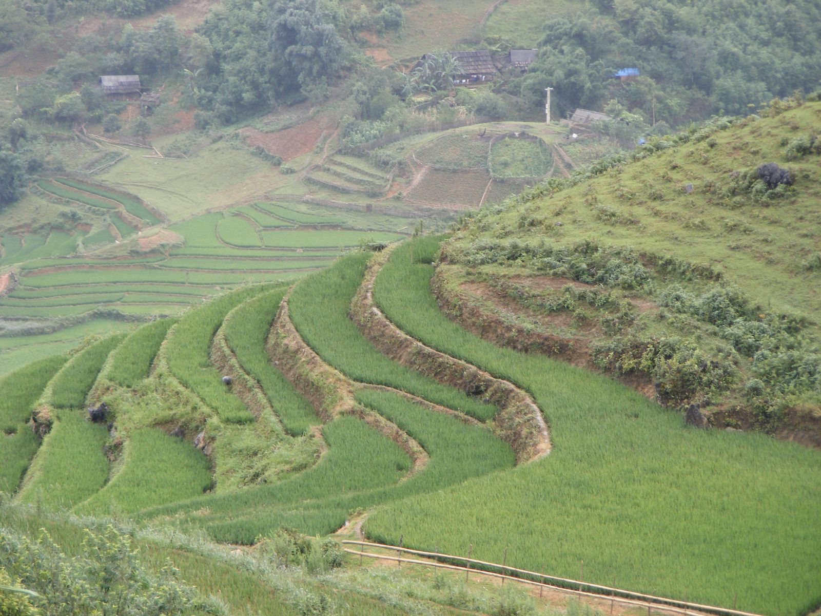 Sapa Trekking Escape